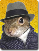 chipmunk in a wool striped jacket and very little fedora